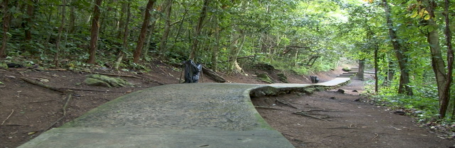 Weg zum Salto de Agua de Soroa, Cuba Travel